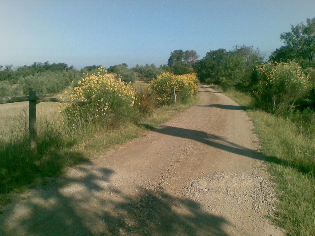 Podere Campovecchio Rapale Exterior foto