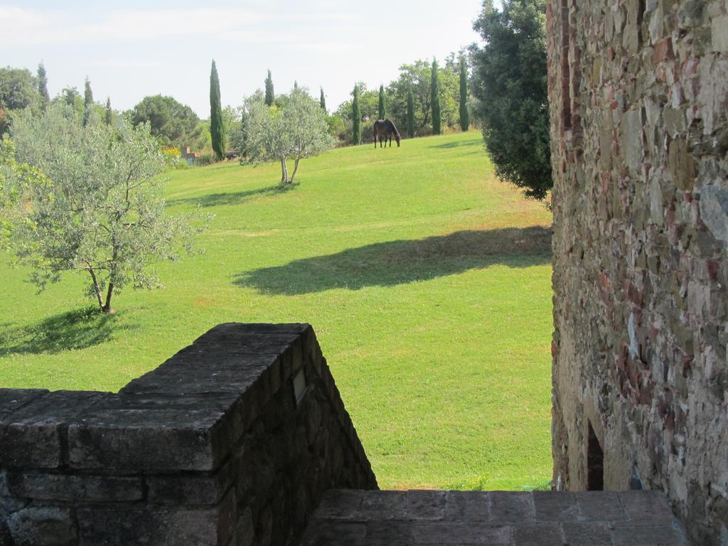 Podere Campovecchio Rapale Quarto foto