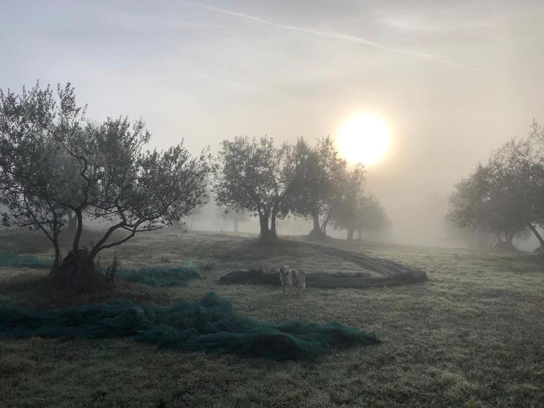 Podere Campovecchio Rapale Exterior foto